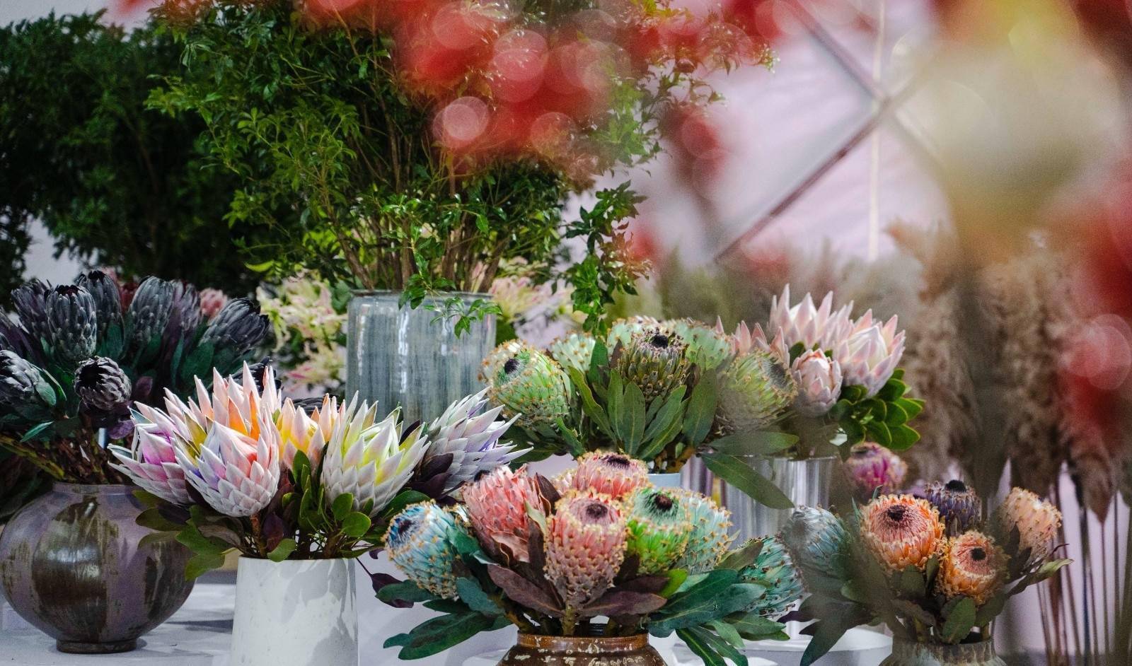 以花为媒 昆明斗南花卉展持续催热浪漫"花经济"_交易_全国_服务