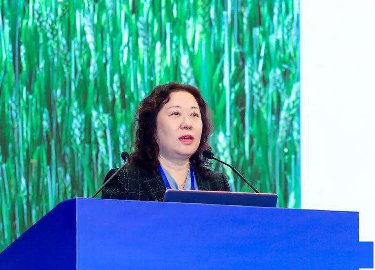 河北省保定市第十七中教育集团党委书记,河北保定外国语学校党委书记