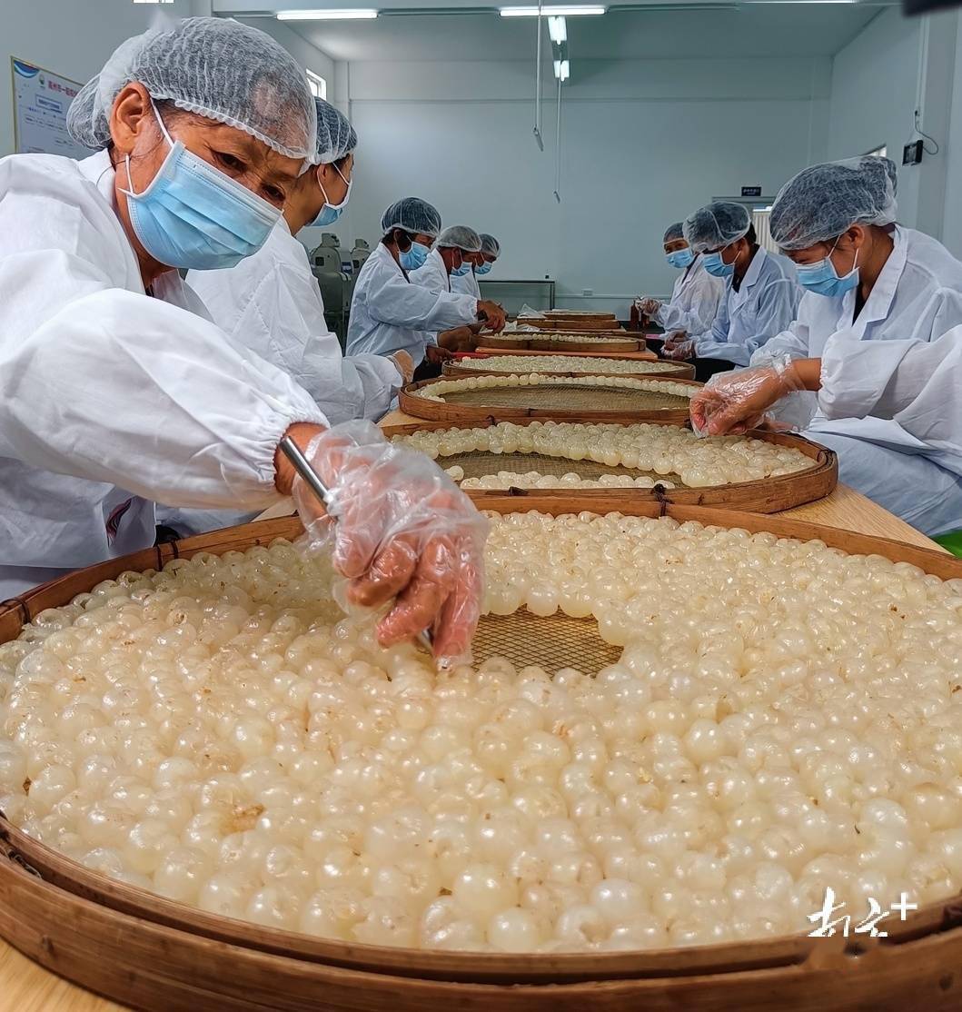 茂名4件产品入选广东非遗手信,有你心水的吗?_高州_炒米_龙眼