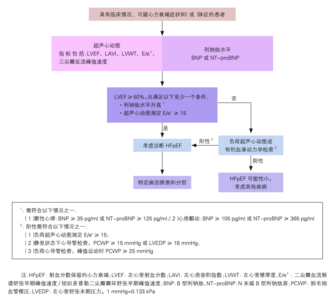 3 圖讀懂:hfpef 的診斷和治療_患者_評分_心動圖