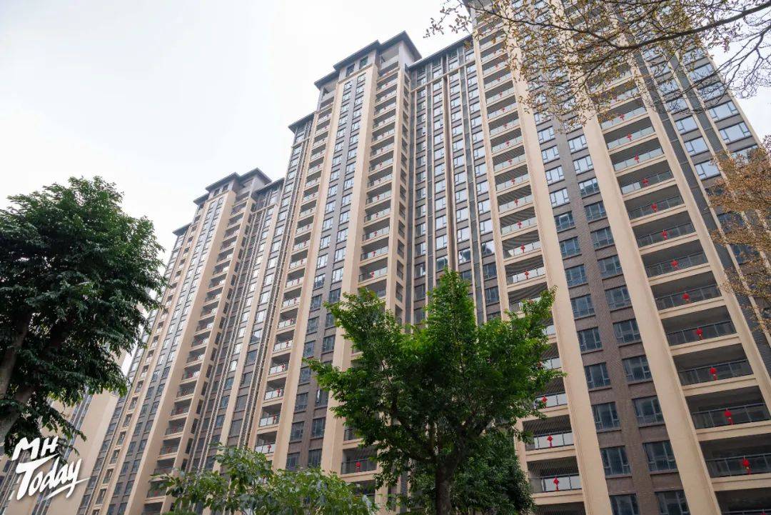 品质交付力,棉湖1号这场交付,业主直呼买对了!_服务_仪式_实力