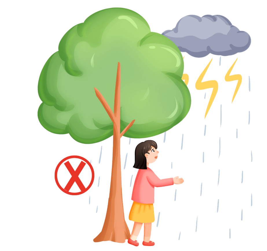 雷雨天气用电一定要注意这些!_绝缘_电线_高压线