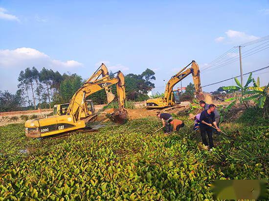 南宁江南区吴圩镇人大:河道清淤保灌溉 汩汩清水"润民心"