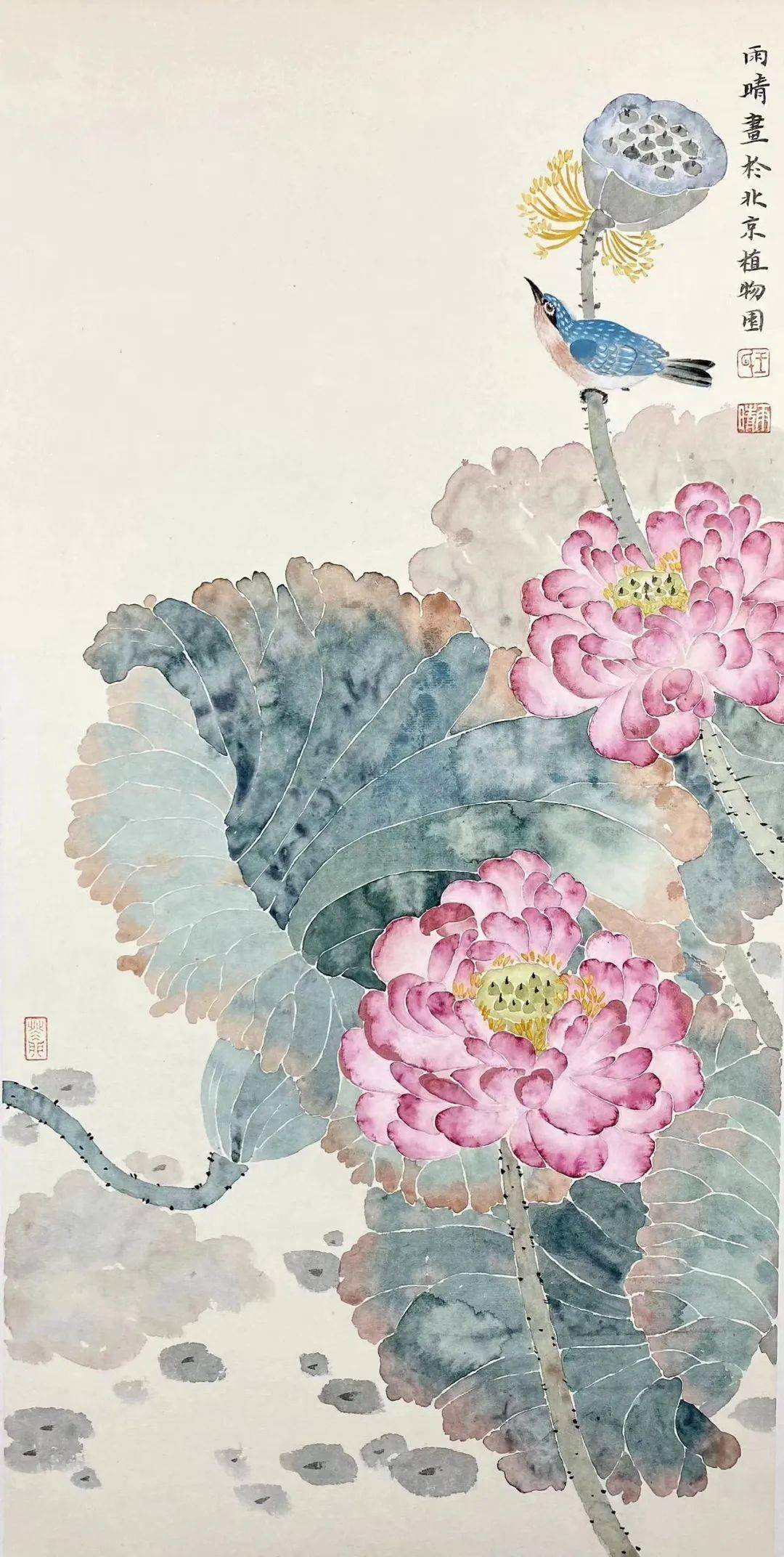 【艺术世界】印象·色彩——王雨晴没骨花鸟画_黑龙江省_作品_中国画