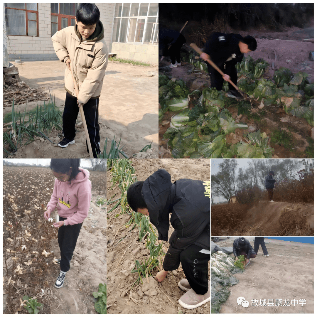 【扣好人生第一粒扣子系列活动】故城县聚龙中学开展"劳动美"社会实践