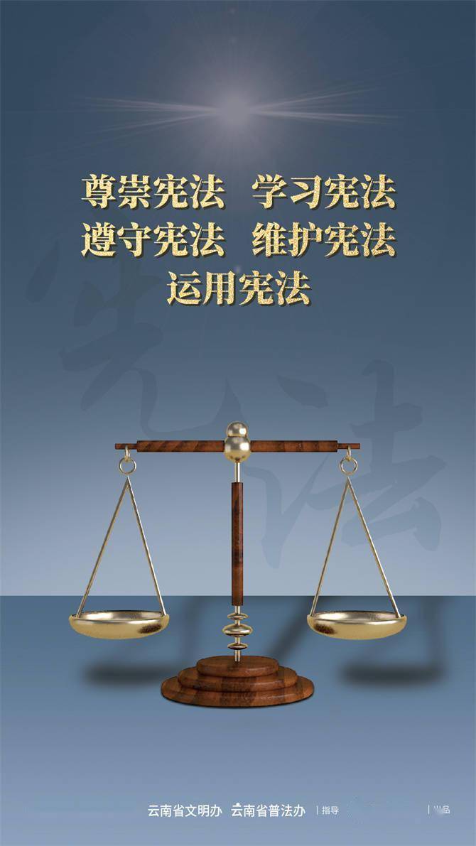 第十个国家宪法日宣传海报(2)