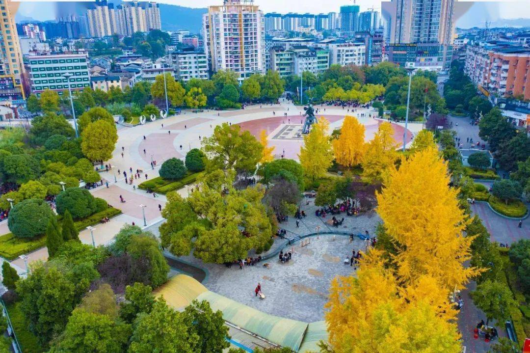 城市公园,广场,街道两旁,黄叶飘舞,大地铺金,在萧瑟冬日,为秀山城市