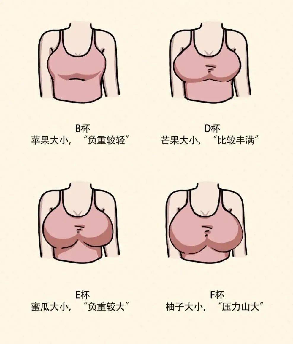 女性乳头 大小图片