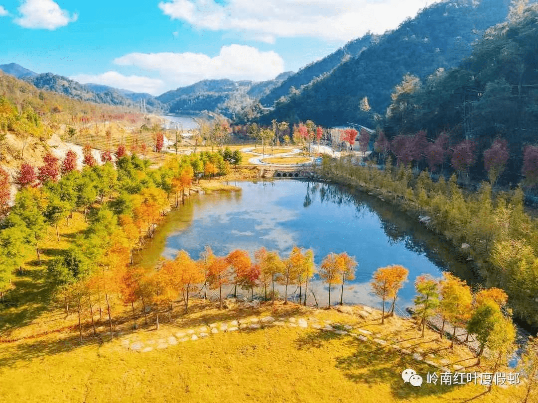 来源丨岭南红叶世界梅坑镇沿着省道347线公路行进到梅坑镇的长江村,新