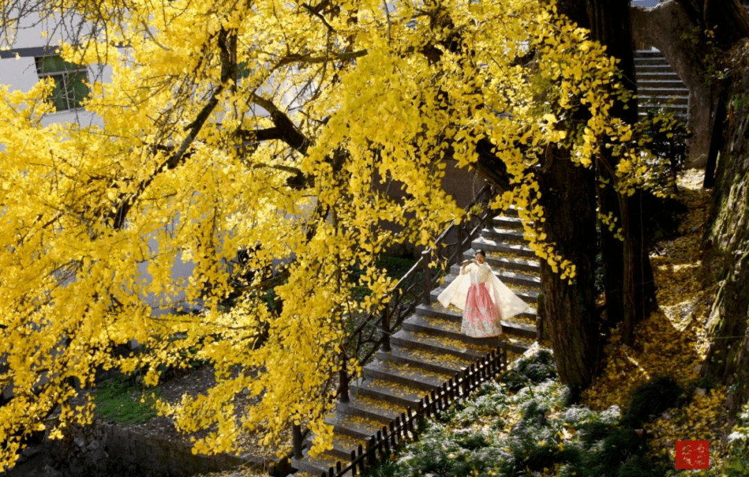 來磐安一趟,不理閒事,只管曬曬太陽_攝影_地點_冬日