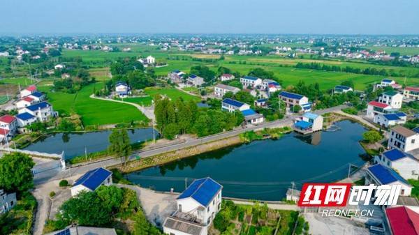 创小微水体管护样板片区丨杨家山村:绘就幸福生态底色_村民_种养_乡村