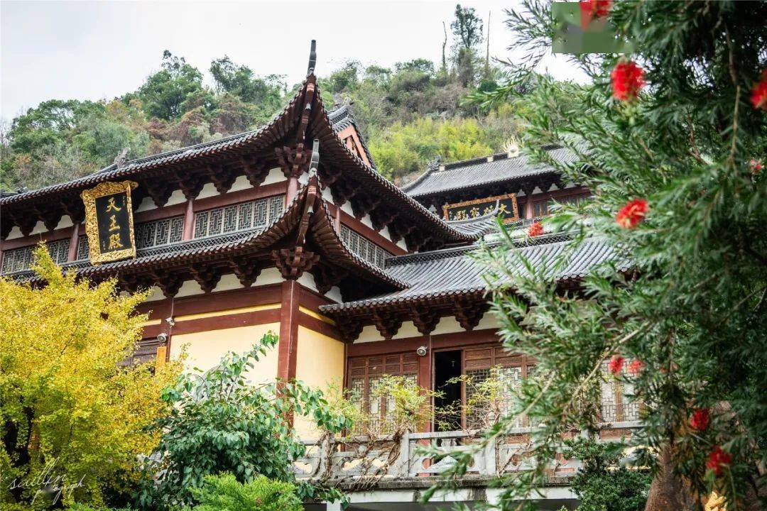 时间银杏与寺庙飞檐相映成画有些冬日才有的静逸之感到【景贤亭】处