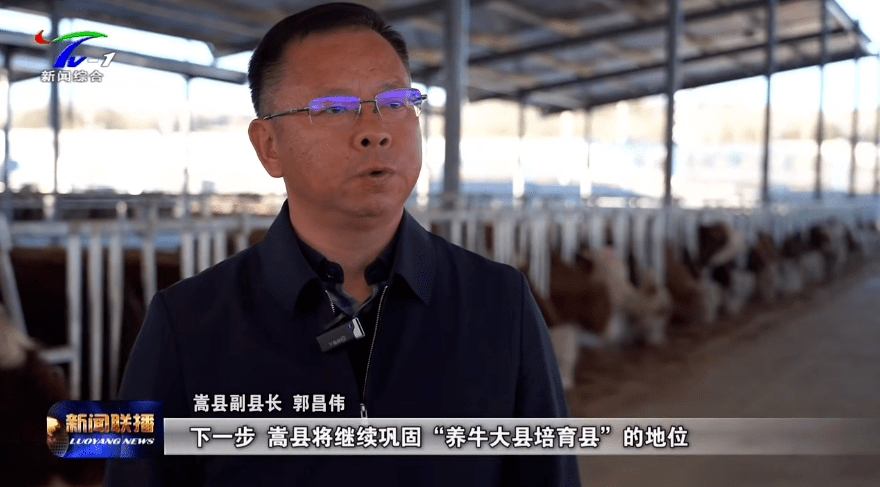 《河南新闻联播》头条关注嵩县养牛产业!