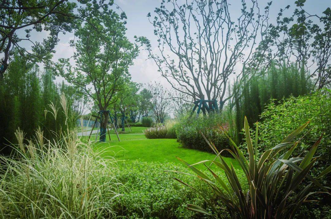 人字绿廊最新进展_城市_天府_公园