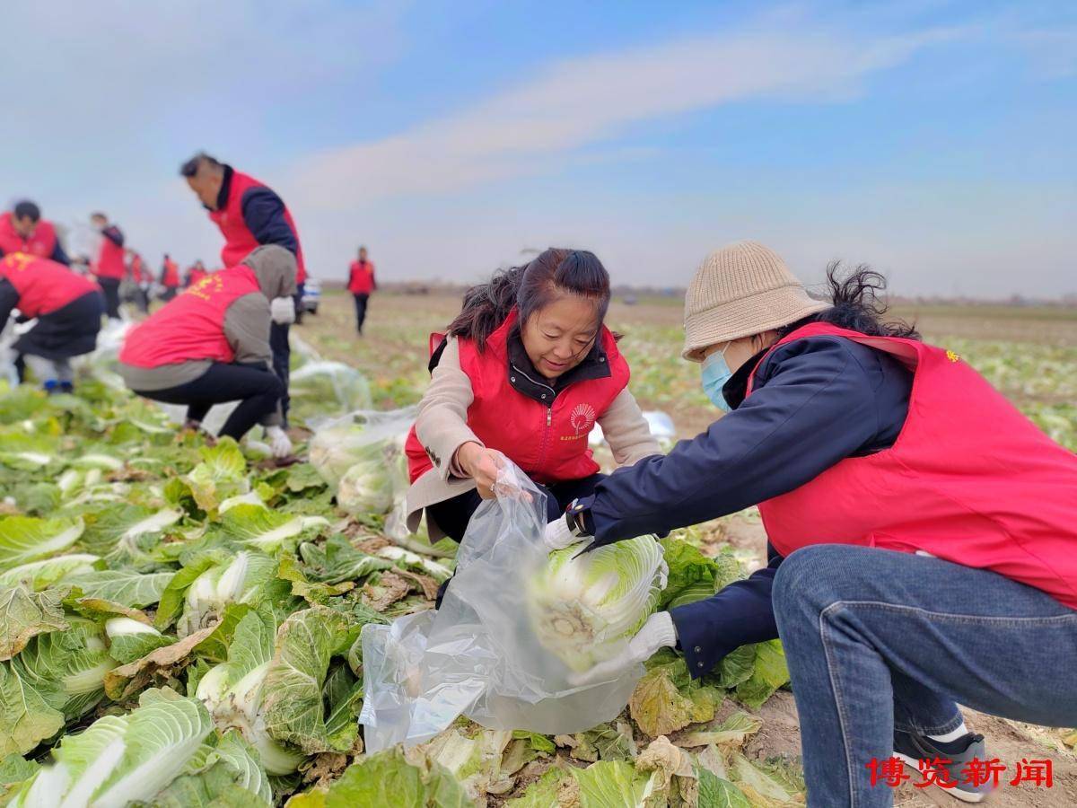 淄博:爱心助农 "蔬"送万家_白菜_张店区_城市