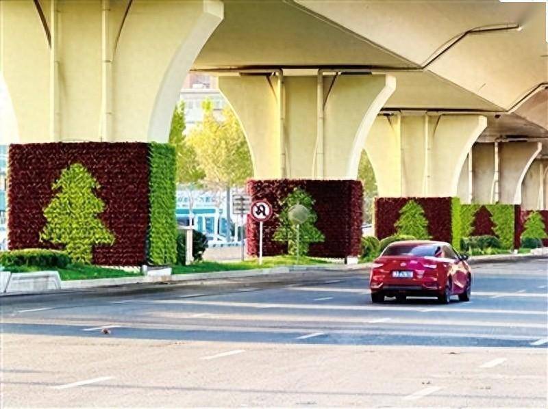 寒冷的日子里,给你一个温暖的拥抱._银杏_美颜_公园