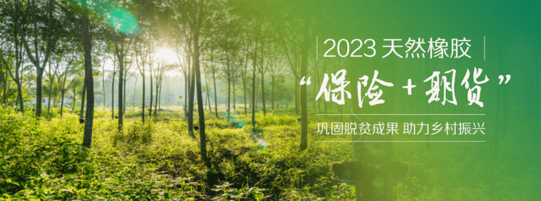 2023年