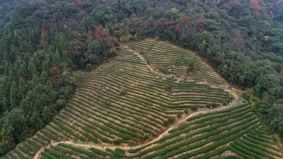 【山】|健康越野,从云谷山开始!_赛事_赛道_比赛