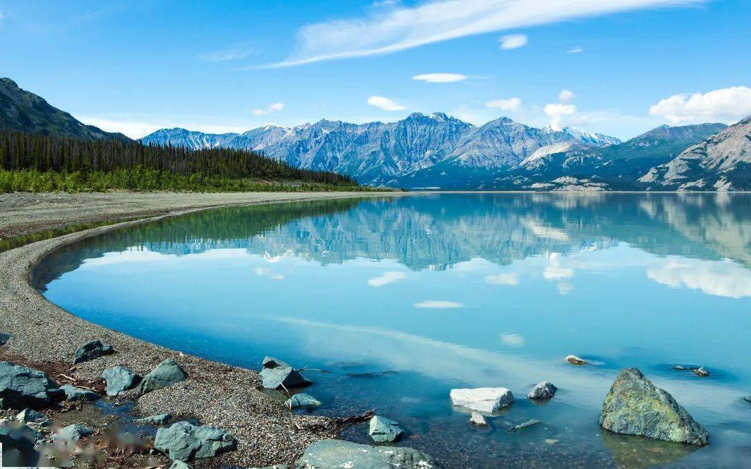 我这次婚礼致辞以奇取胜_新娘_新郎_不