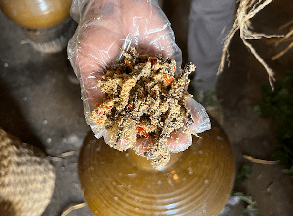 于是,普嬢嬢和朋友给我们解释了鲊的制作过程:先要把菜洗净,在院子里