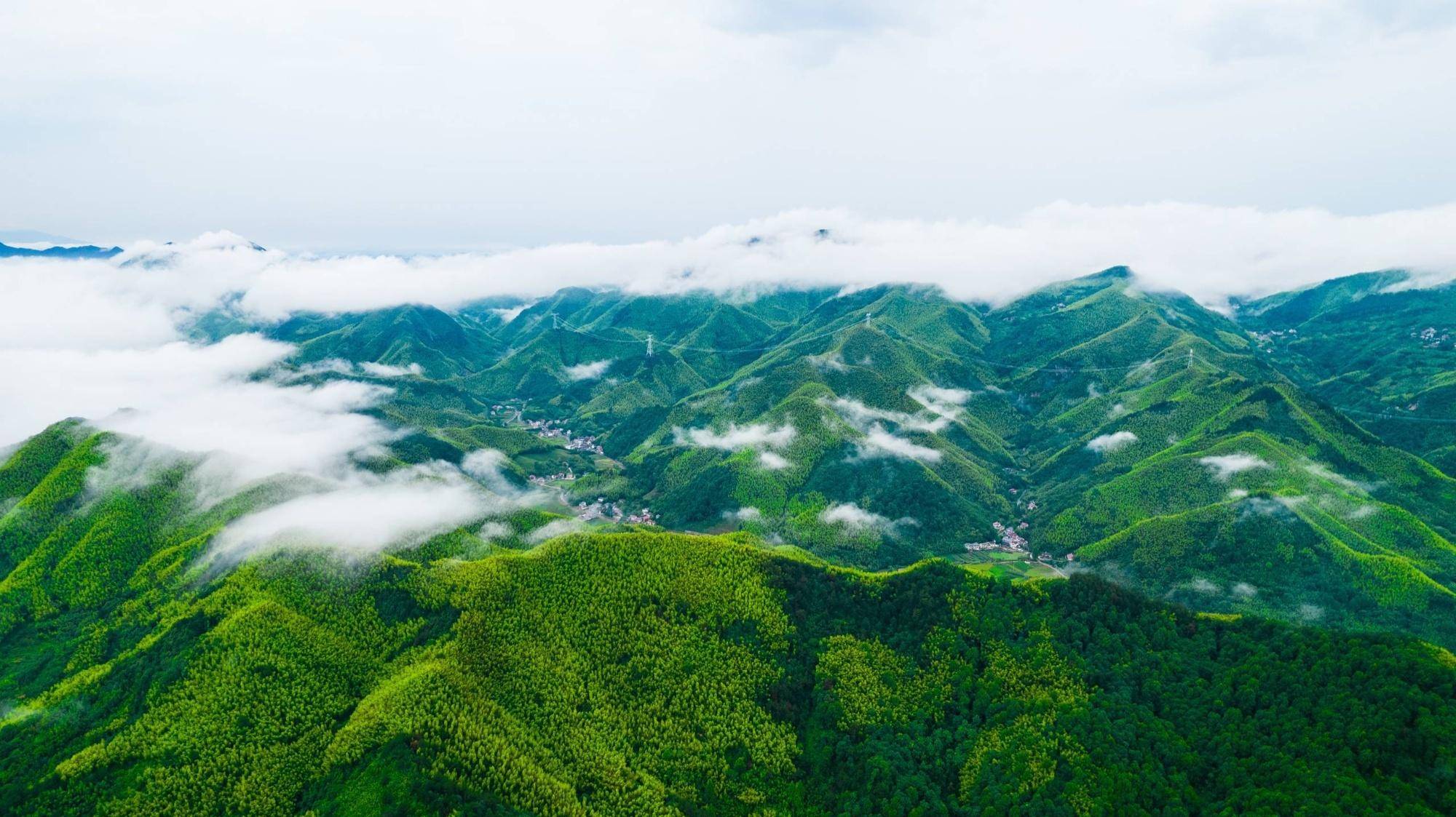 作為浙江省湖州市安吉縣新經濟領域的代表性企業之一,飛天雲動在數字