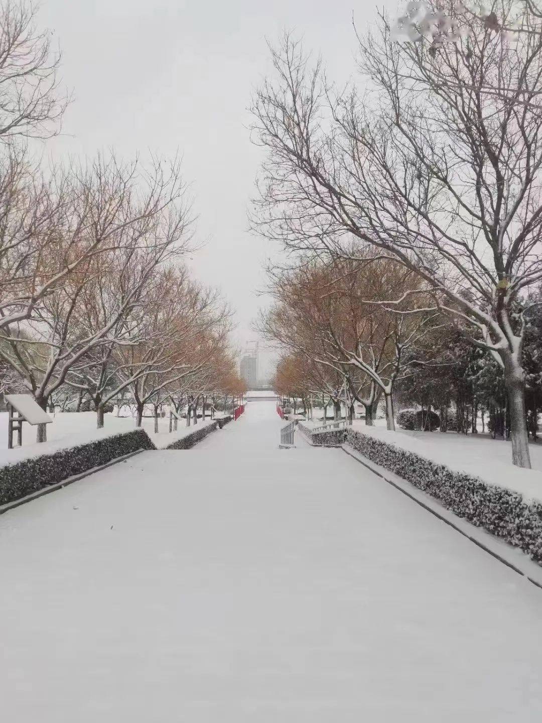 潍坊雪景图片