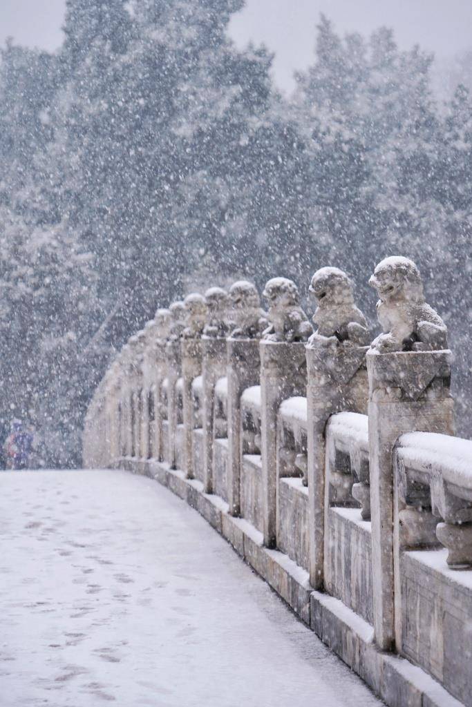 北京下雪的照片图片