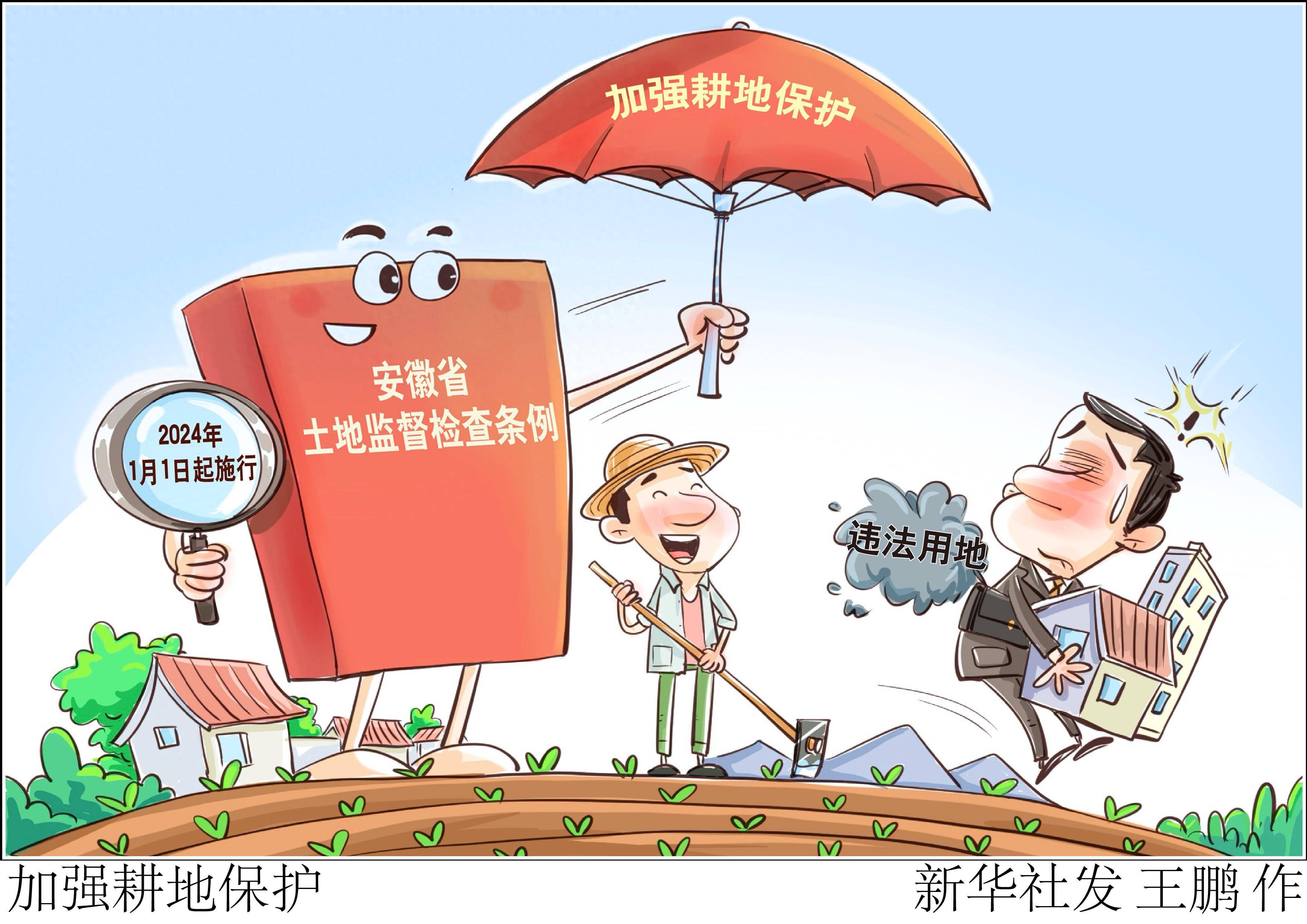 (图表·漫画)〔经济〕加强耕地保护_监督_检查_新华社