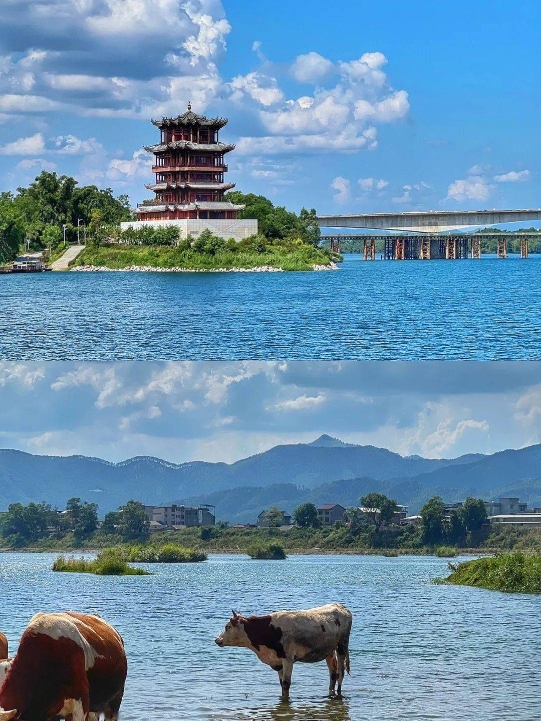 融安泗维河风景区图片