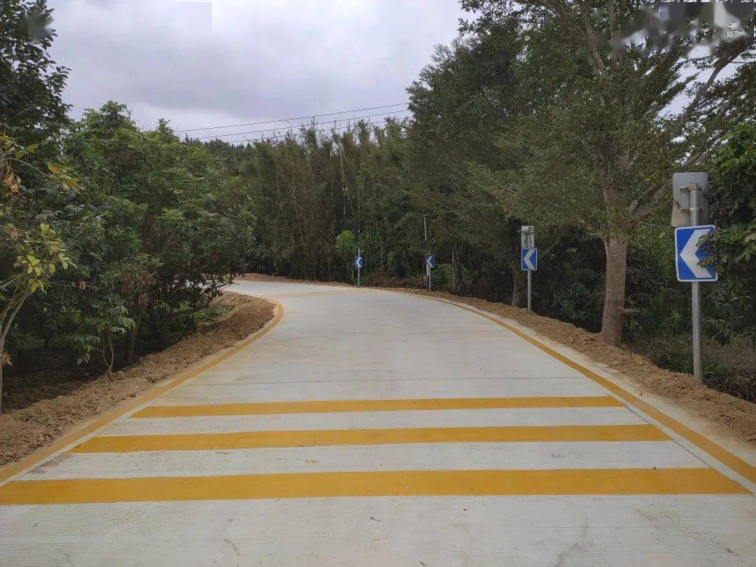 道路_整治_进行