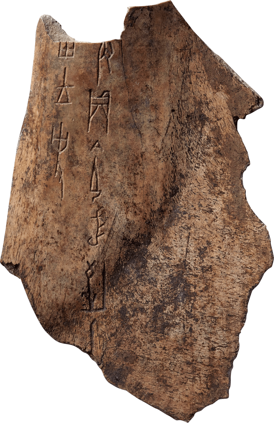 四大发现丨三千多岁的甲骨文,是如何被读出来的?