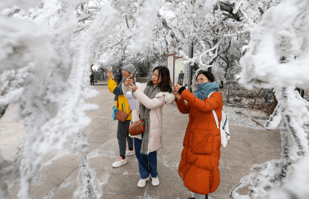 未来几天江苏各地天气预报↓↓↓来源:云台山景区管委会,连云港发布