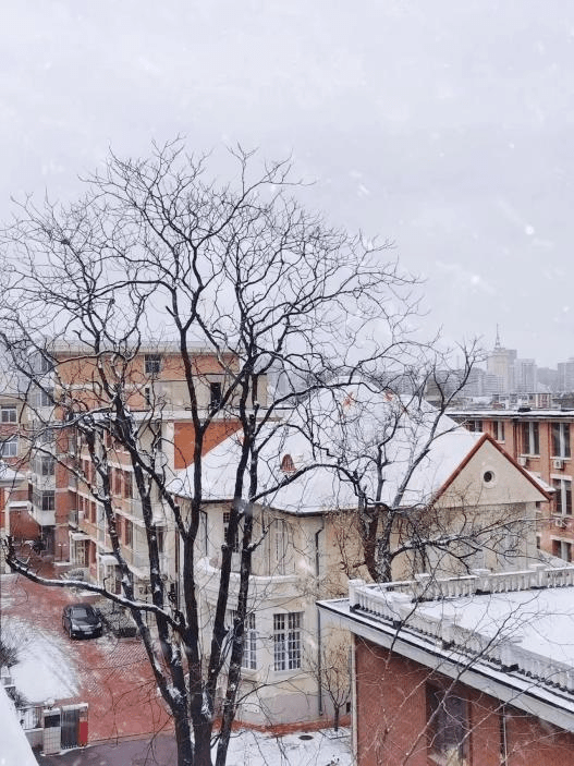 超美天津高校雪景大片来了!快来投票_校园_雪花_飞雪
