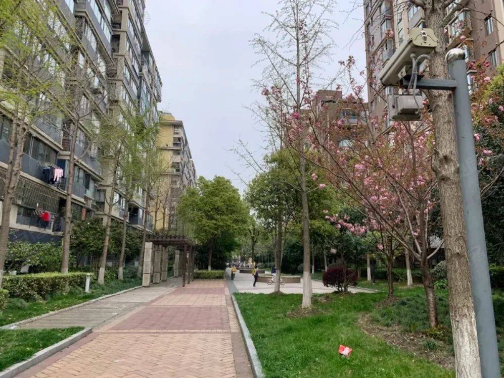 居民愿景→幸福实景，这些美好变化你发现了吗？_社区_改造_工程