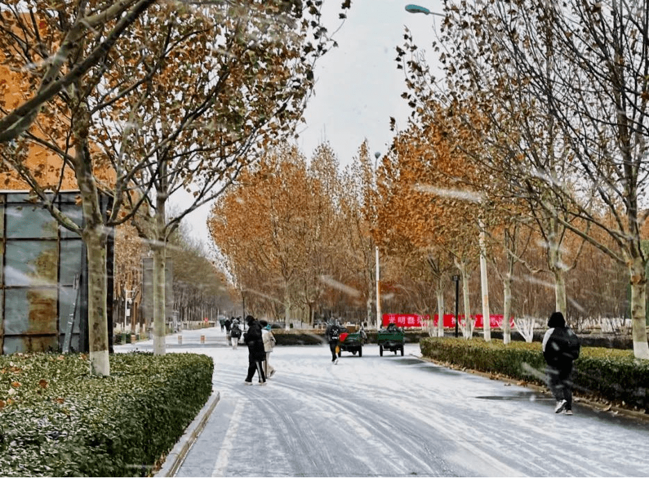 超美天津高校雪景大片来了!快来投票_校园_雪花_飞雪