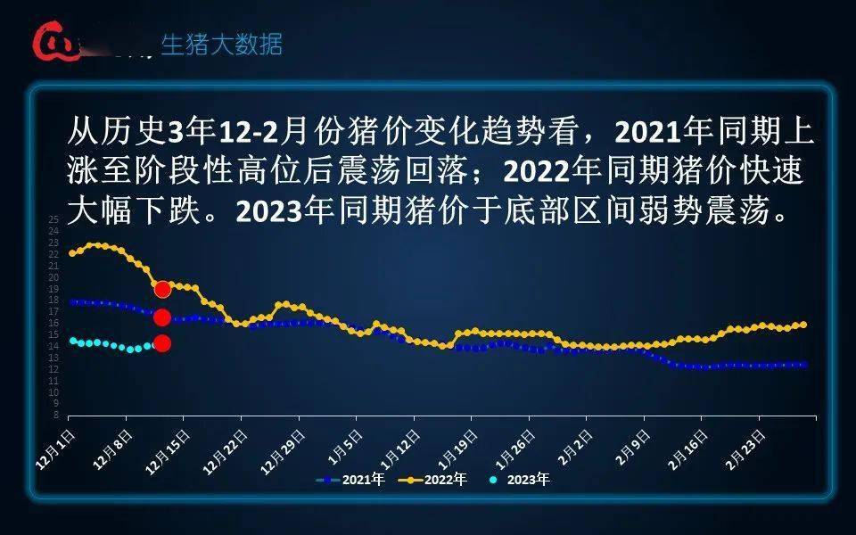 生豬現貨日報|全國均價14.