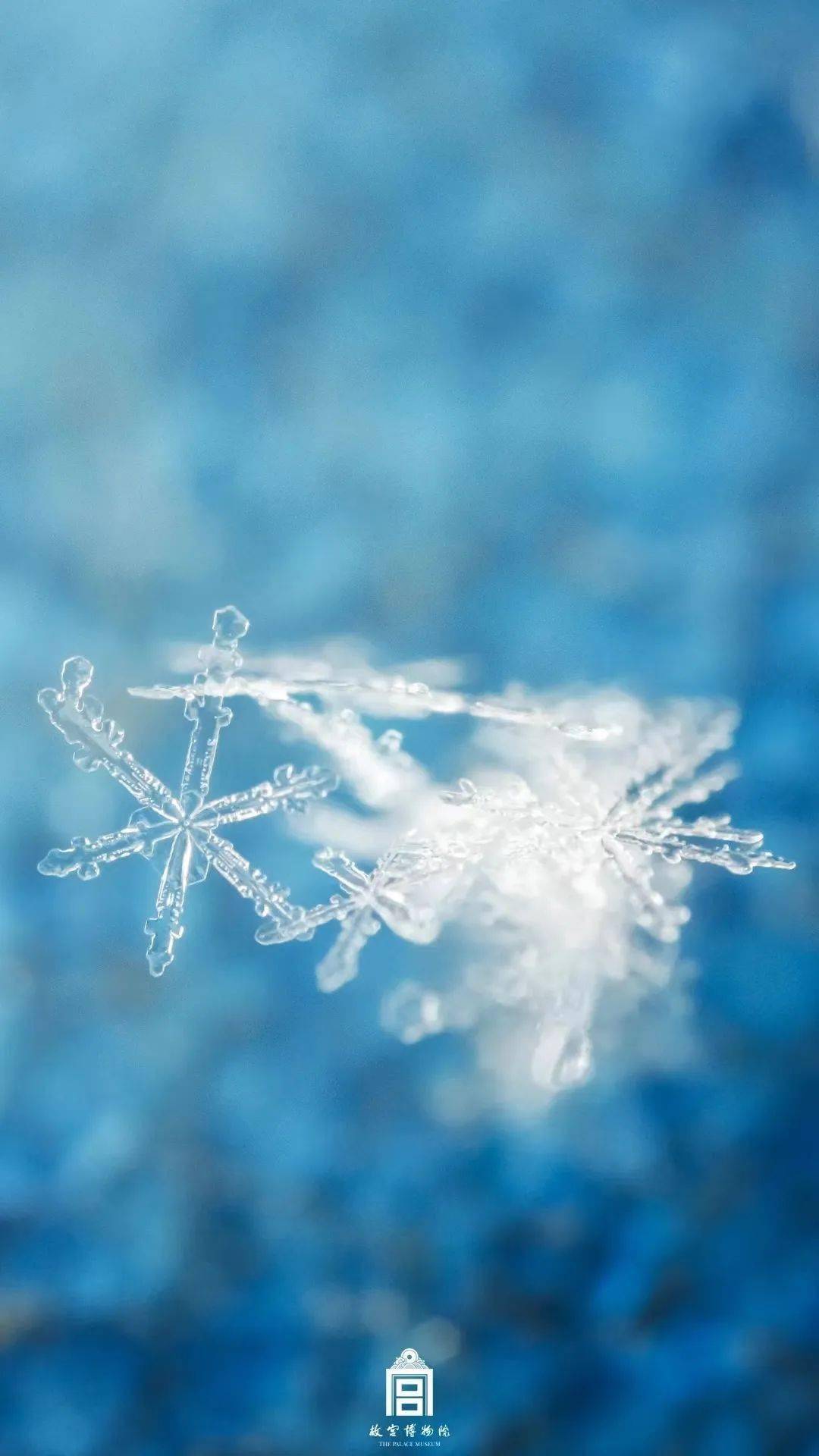 朋友圈背景图雪花不贵图片