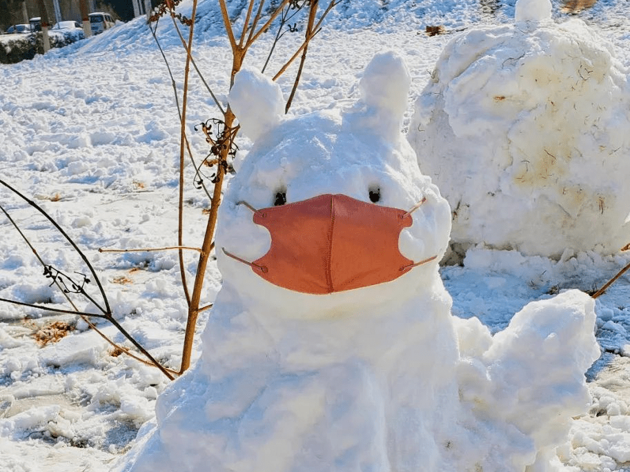河南师范大学创造出许多别具一格的雪人作品让农大学子用无尽乐趣与