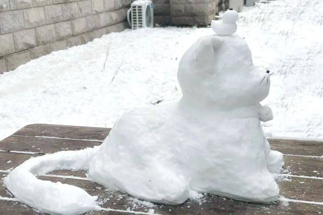 雪雪雪又来了!