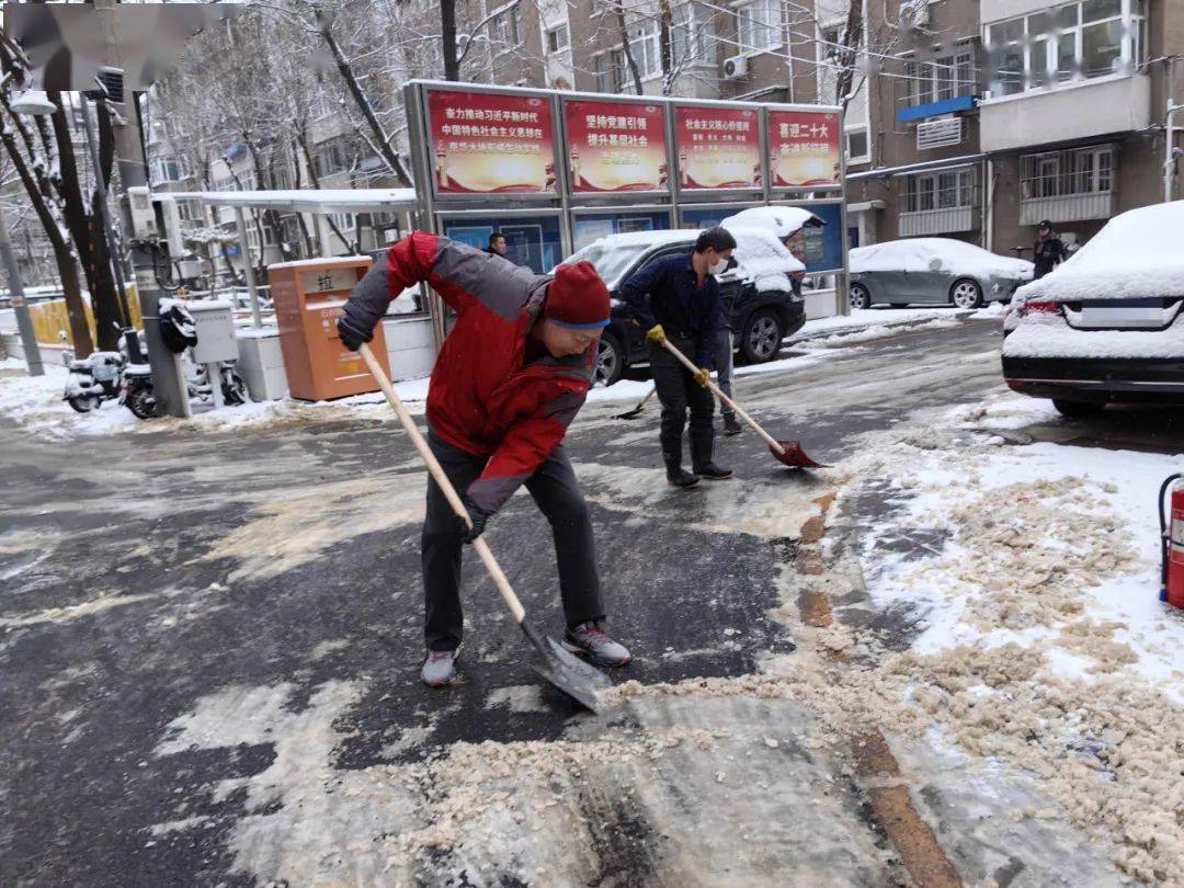 看,他們在雪中