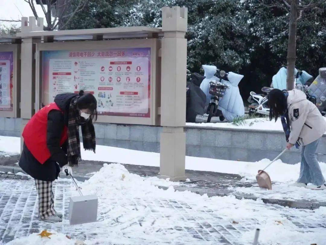 浴雪奋战,河南志愿者铲雪除冰保通畅