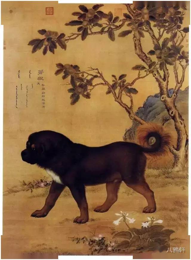 郎世宁《十骏犬图之三 苍猊》郎世宁《十骏犬图之四 金翅猃》郎世宁