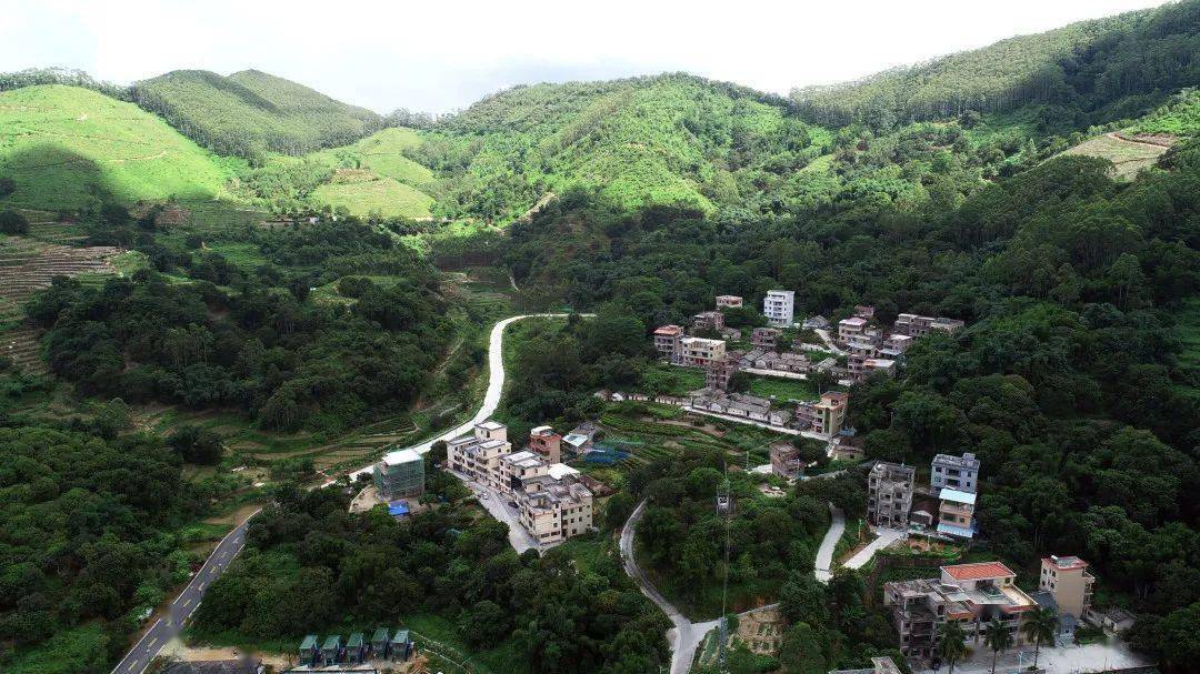 航拍青山绿水萦绕的小楼镇邓山村靓丽的风光背后是增城区持续建设宜居