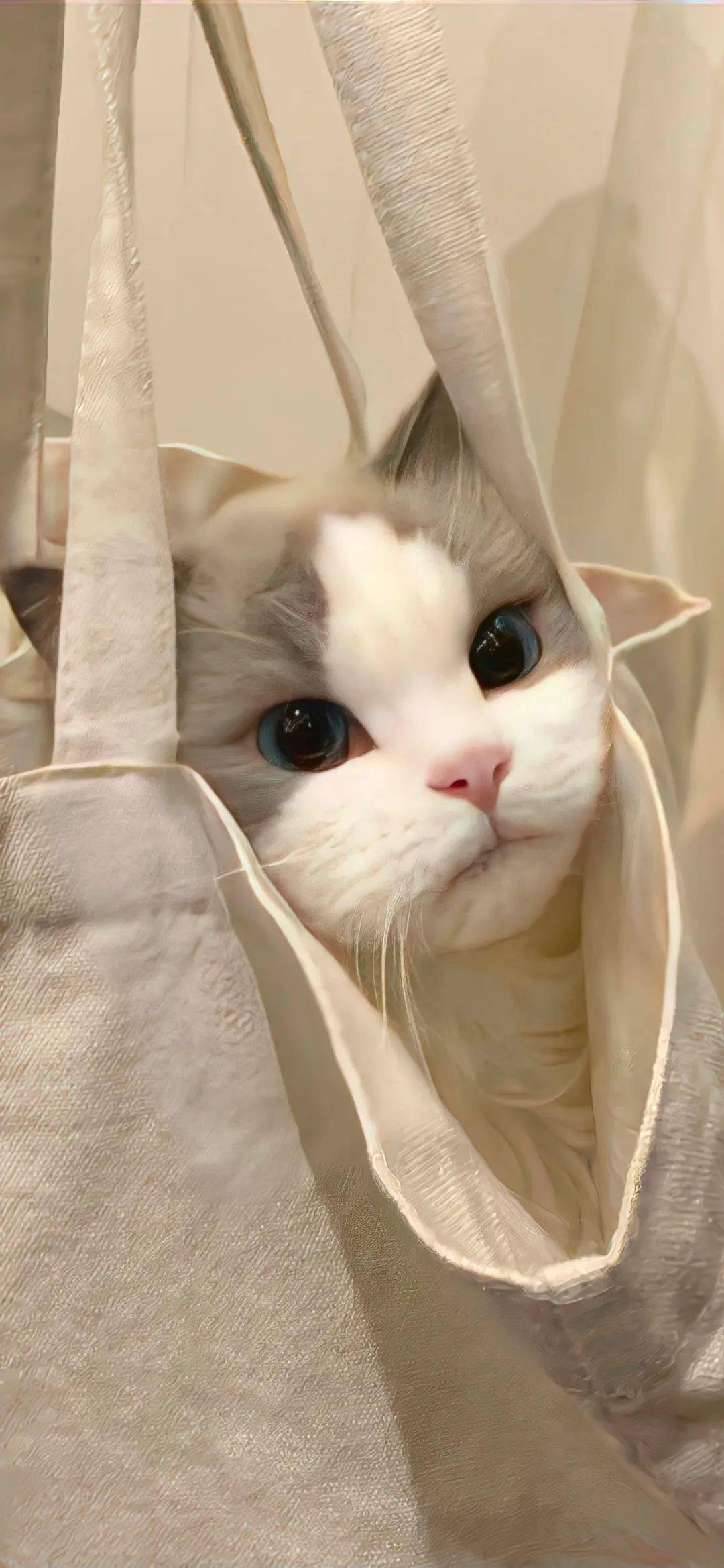 壁纸| 可爱ins风锁屏壁纸_loveeee