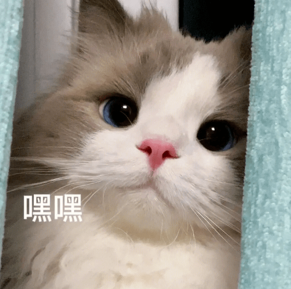 年轻人最爱的表情包竟然是._方式_社交_对方