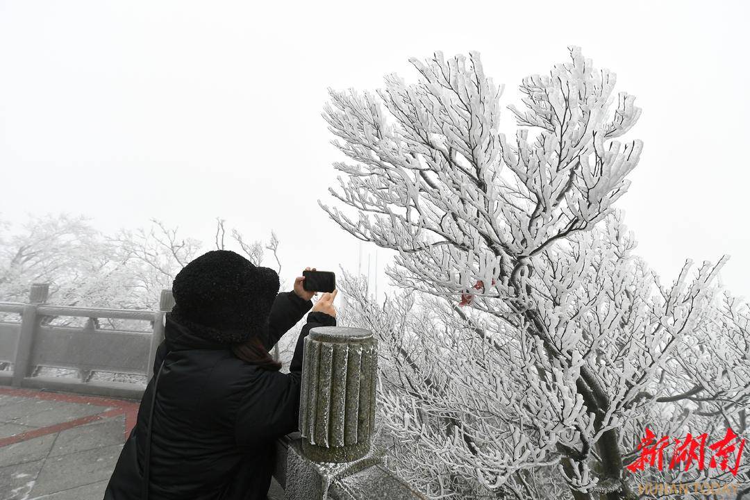 玉樹瓊枝掛滿山,張家界天門山開啟