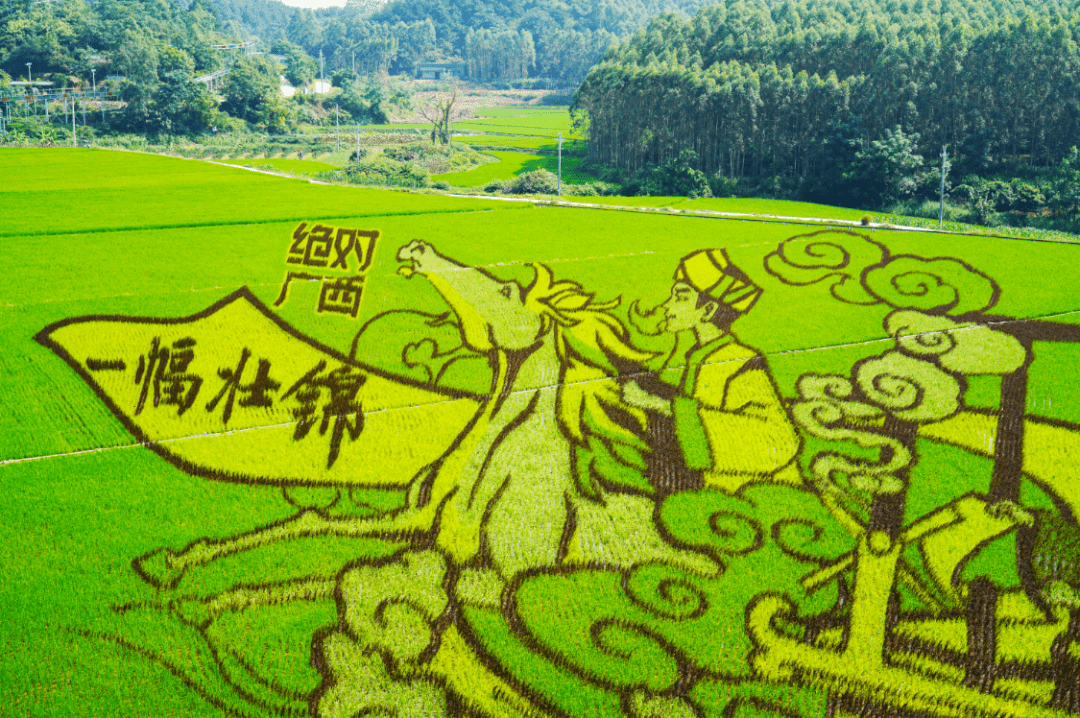 宾阳县古辣镇马界村委大陆村稻田艺术画