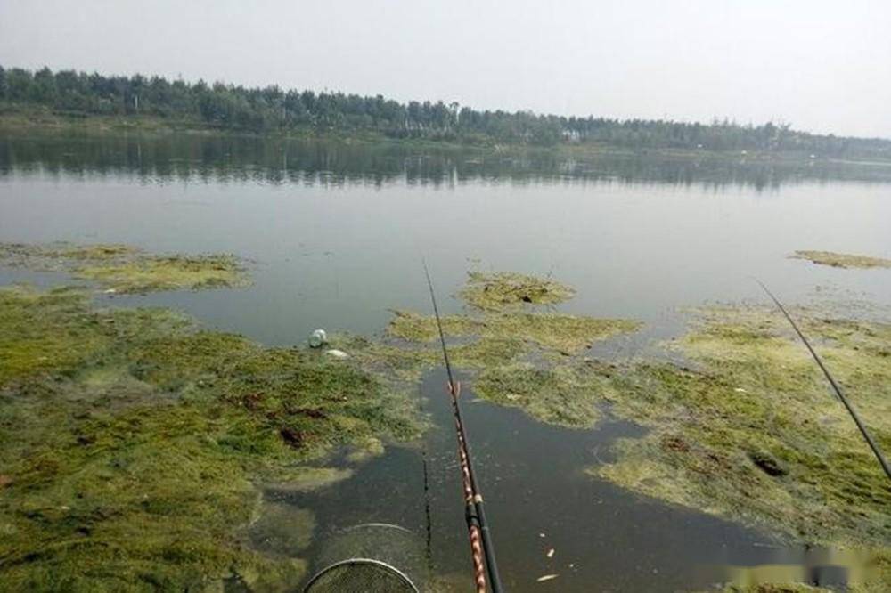 野釣技巧,影響漁獲的4大因素,技巧只能排在最後_天氣_自然_水溫