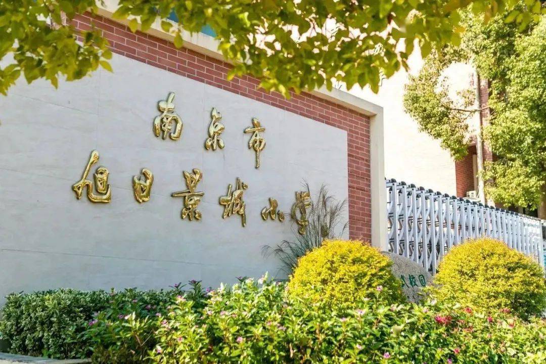 南京银城小学南校区图片