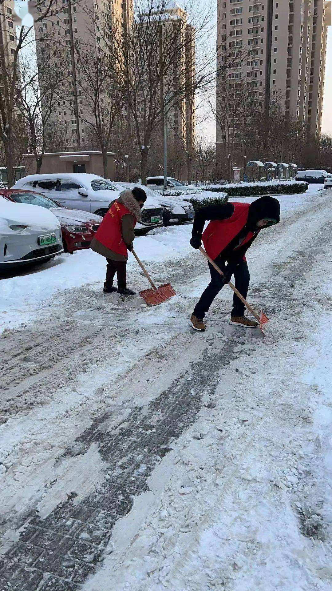 積雪_工作_社區